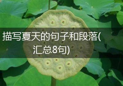 描写夏天的句子和段落(汇总8句)