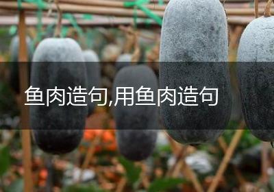 鱼肉造句,用鱼肉造句