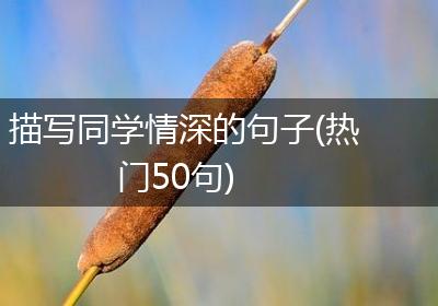 描写同学情深的句子(热门50句)