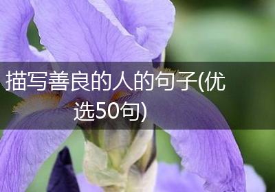 描写善良的人的句子(优选50句)