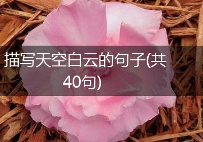 描写天空白云的句子(共40句)