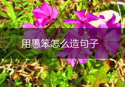 用愚笨怎么造句子