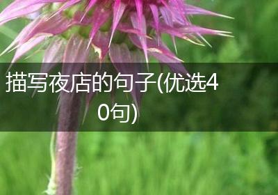 描写夜店的句子(优选40句)