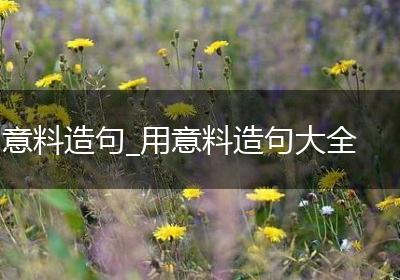 意料造句_用意料造句大全