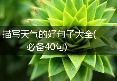 描写天气的好句子大全(必备40句)