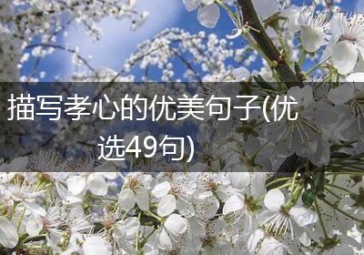 描写孝心的优美句子(优选49句)