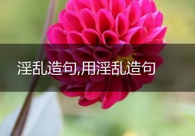 淫乱造句,用淫乱造句
