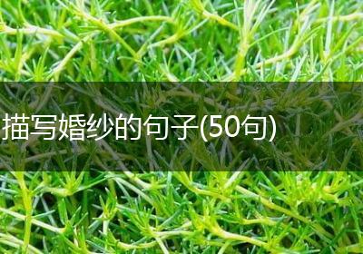 描写婚纱的句子(50句)