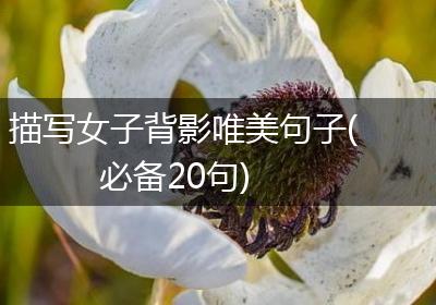 描写女子背影唯美句子(必备20句)