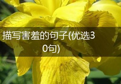 描写害羞的句子(优选30句)