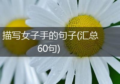 描写女子手的句子(汇总60句)