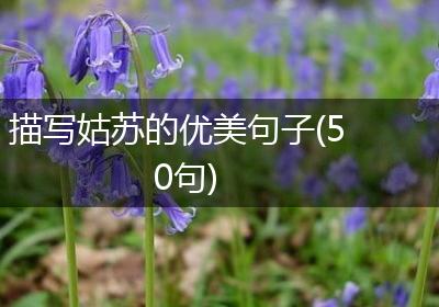 描写姑苏的优美句子(50句)