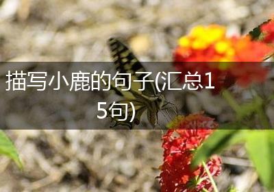描写小鹿的句子(汇总15句)