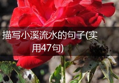 描写小溪流水的句子(实用47句)