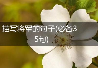 描写将军的句子(必备35句)