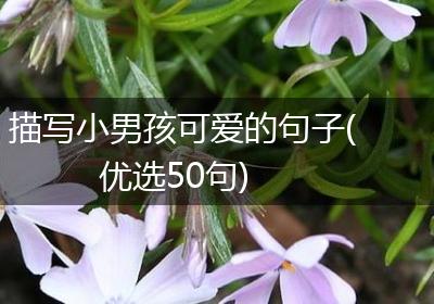 描写小男孩可爱的句子(优选50句)
