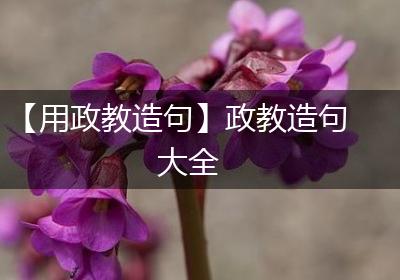 【用政教造句】政教造句大全
