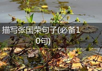 描写张国荣句子(必备10句)
