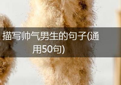 描写帅气男生的句子(通用50句)
