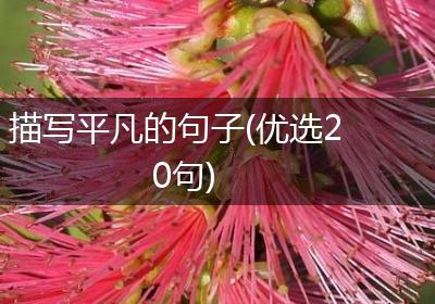 描写平凡的句子(优选20句)
