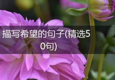 描写希望的句子(精选50句)
