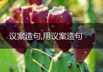议案造句,用议案造句