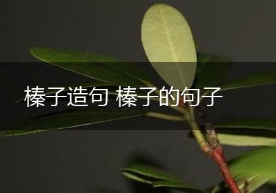 榛子造句 榛子的句子