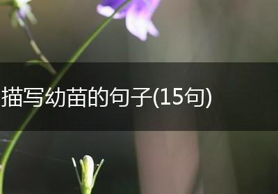 描写幼苗的句子(15句)