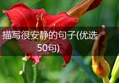 描写很安静的句子(优选50句)