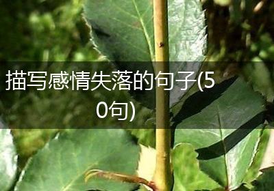 描写感情失落的句子(50句)