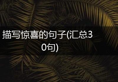 描写惊喜的句子(汇总30句)