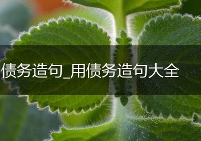 债务造句_用债务造句大全