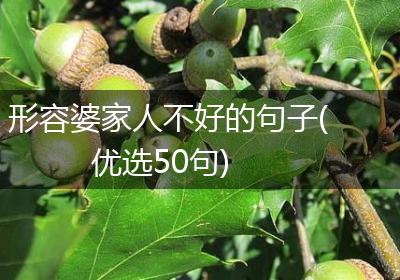 形容婆家人不好的句子(优选50句)