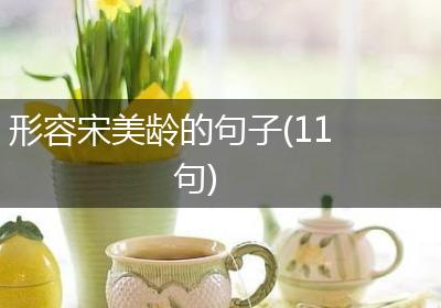 形容宋美龄的句子(11句)