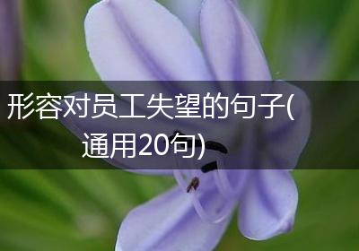 形容对员工失望的句子(通用20句)