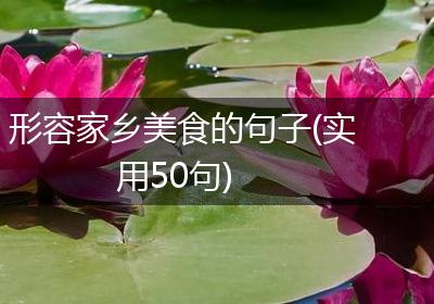 形容家乡美食的句子(实用50句)