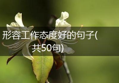形容工作态度好的句子(共50句)