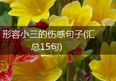 形容小三的伤感句子(汇总15句)