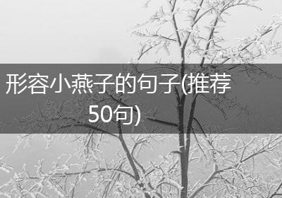 形容小燕子的句子(推荐50句)