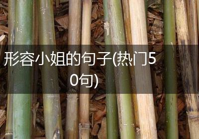 形容小姐的句子(热门50句)