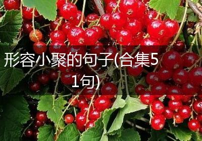 形容小聚的句子(合集51句)