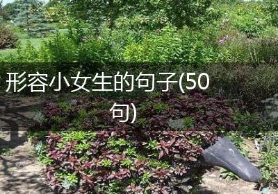形容小女生的句子(50句)