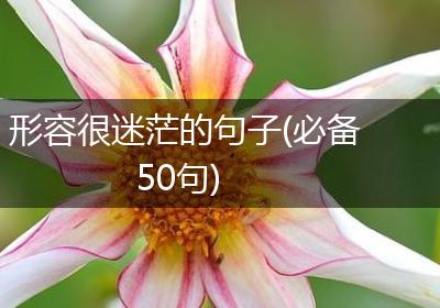 形容很迷茫的句子(必备50句)