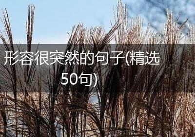 形容很突然的句子(精选50句)