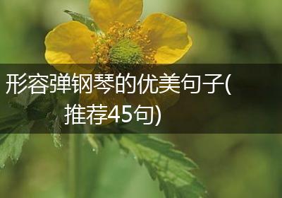 形容弹钢琴的优美句子(推荐45句)