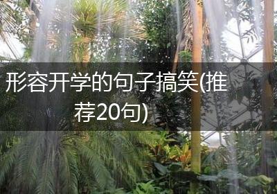 形容开学的句子搞笑(推荐20句)
