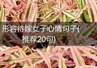 形容待嫁女子心情句子(推荐20句)