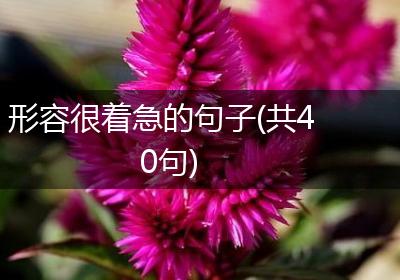 形容很着急的句子(共40句)
