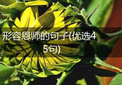 形容恩师的句子(优选45句)