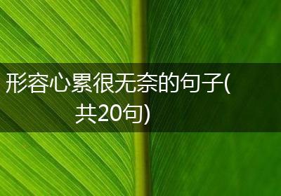 形容心累很无奈的句子(共20句)